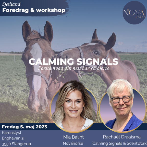 Calming Signals hos Novahorse