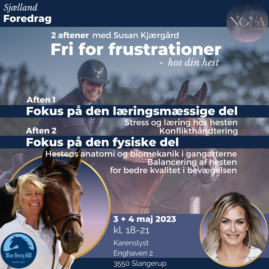 Fri for frustrationer - foredrag med Susan Kjærgård